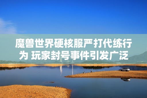 魔兽世界硬核服严打代练行为 玩家封号事件引发广泛讨论