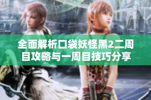 全面解析口袋妖怪黑2二周目攻略与一周目技巧分享