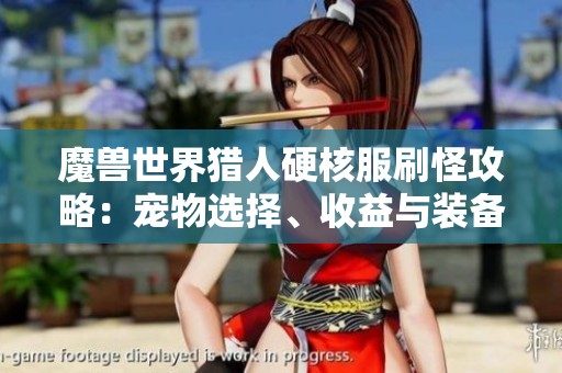 魔兽世界猎人硬核服刷怪攻略：宠物选择、收益与装备时间详解