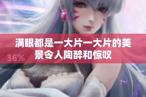 满眼都是一大片一大片的美景令人陶醉和惊叹
