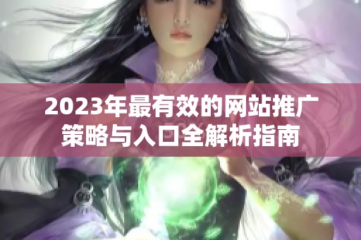 2023年最有效的网站推广策略与入口全解析指南