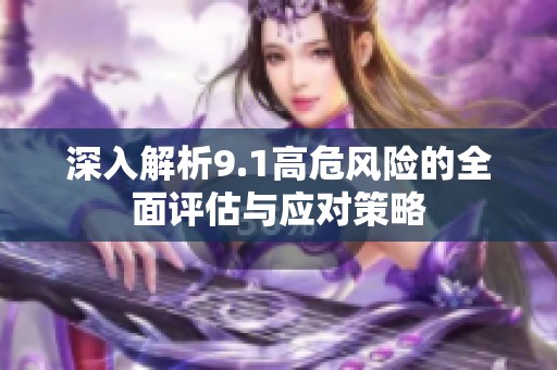 深入解析9.1高危风险的全面评估与应对策略