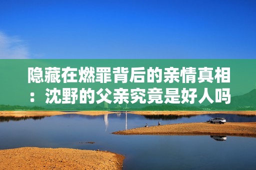隐藏在燃罪背后的亲情真相：沈野的父亲究竟是好人吗