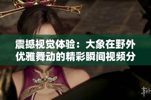 震撼视觉体验：大象在野外优雅舞动的精彩瞬间视频分享