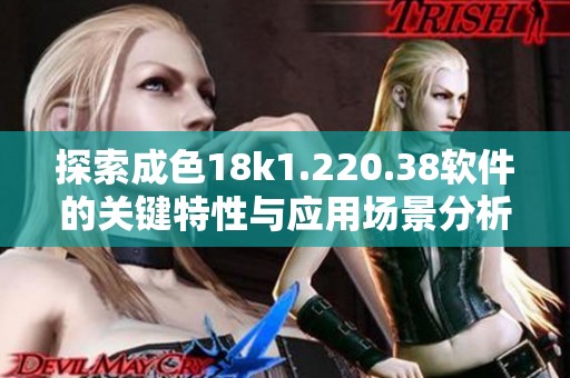 探索成色18k1.220.38软件的关键特性与应用场景分析