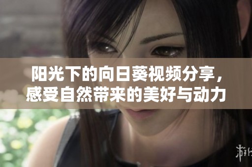 阳光下的向日葵视频分享，感受自然带来的美好与动力