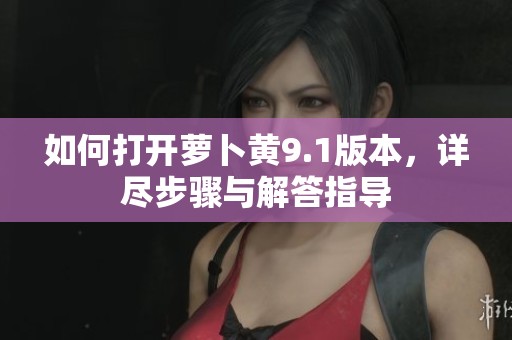 如何打开萝卜黄9.1版本，详尽步骤与解答指导
