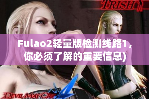 Fulao2轻量版检测线路1，你必须了解的重要信息)