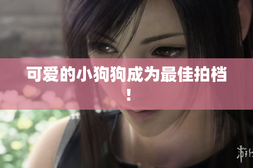 可爱的小狗狗成为最佳拍档！