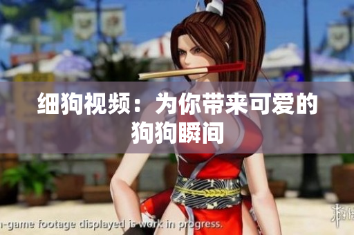 细狗视频：为你带来可爱的狗狗瞬间