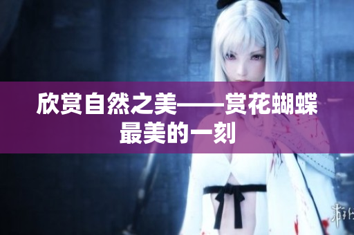 欣赏自然之美——赏花蝴蝶最美的一刻
