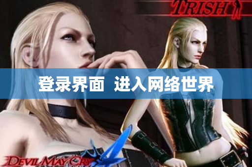 登录界面  进入网络世界