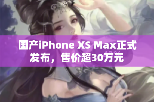 国产iPhone XS Max正式发布，售价超30万元