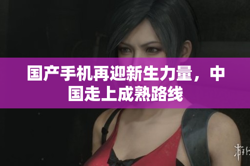 国产手机再迎新生力量，中国走上成熟路线