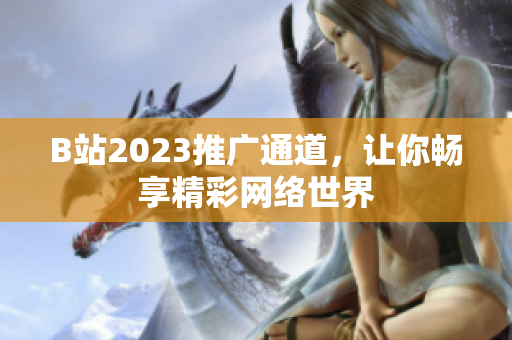 B站2023推广通道，让你畅享精彩网络世界