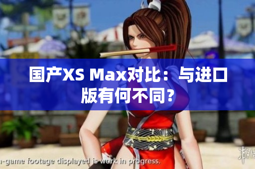 国产XS Max对比：与进口版有何不同？