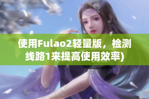 使用Fulao2轻量版，检测线路1来提高使用效率)