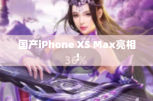 国产iPhone XS Max亮相！
