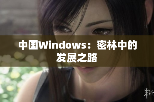 中国Windows：密林中的发展之路