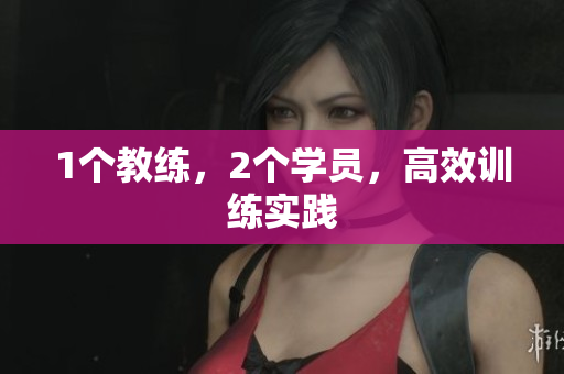 1个教练，2个学员，高效训练实践