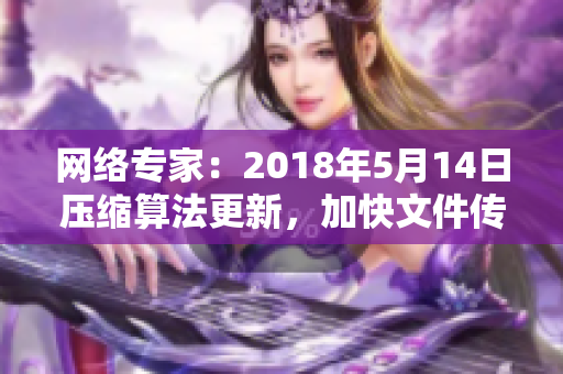 网络专家：2018年5月14日压缩算法更新，加快文件传输速度