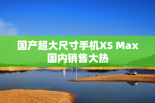 国产超大尺寸手机XS Max国内销售大热