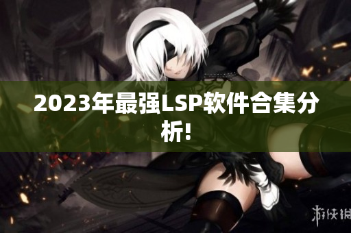 2023年最强LSP软件合集分析!