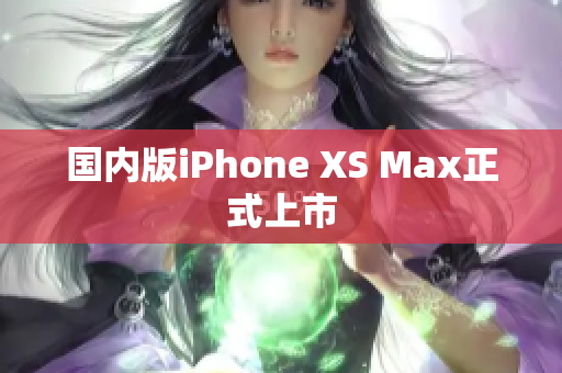 国内版iPhone XS Max正式上市