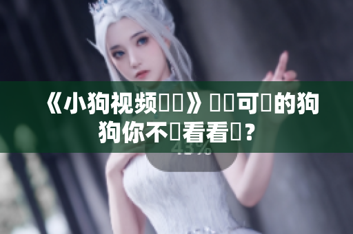 《小狗视频瘋傳》這麼可愛的狗狗你不來看看嗎？