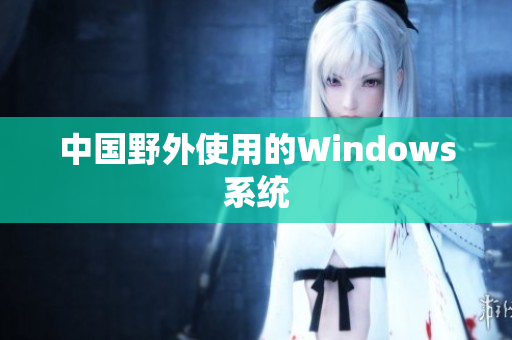 中国野外使用的Windows系统
