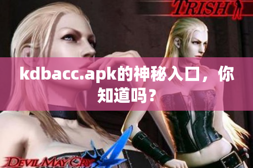 kdbacc.apk的神秘入口，你知道吗？