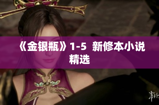 《金银瓶》1-5  新修本小说精选