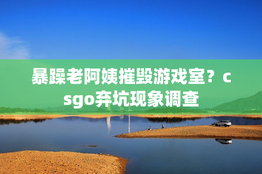 暴躁老阿姨摧毁游戏室？csgo弃坑现象调查