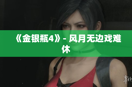 《金银瓶4》- 风月无边戏难休