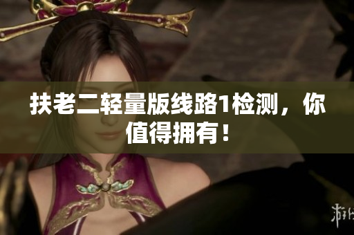 扶老二轻量版线路1检测，你值得拥有！