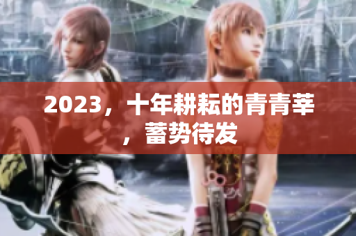 2023，十年耕耘的青青莘，蓄势待发