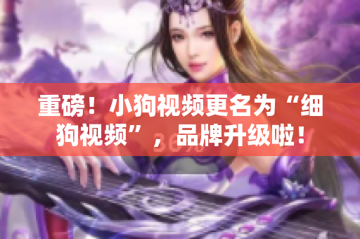 重磅！小狗视频更名为“细狗视频”，品牌升级啦！
