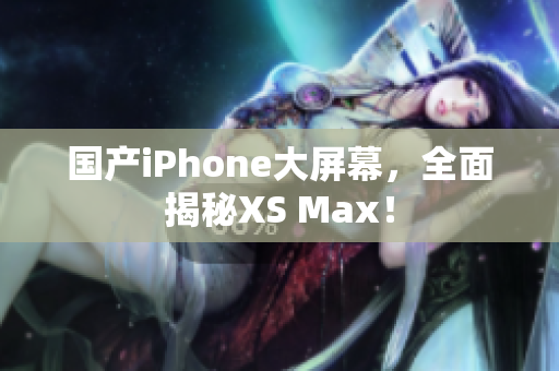 国产iPhone大屏幕，全面揭秘XS Max！