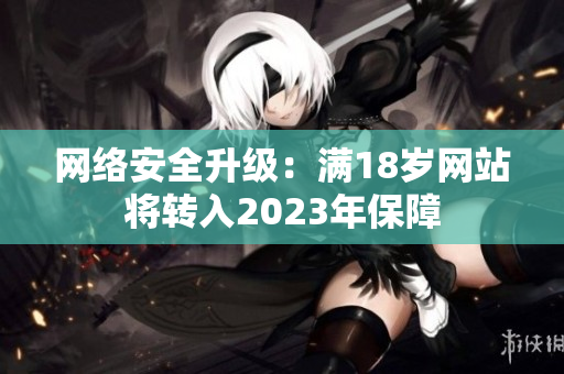 网络安全升级：满18岁网站将转入2023年保障