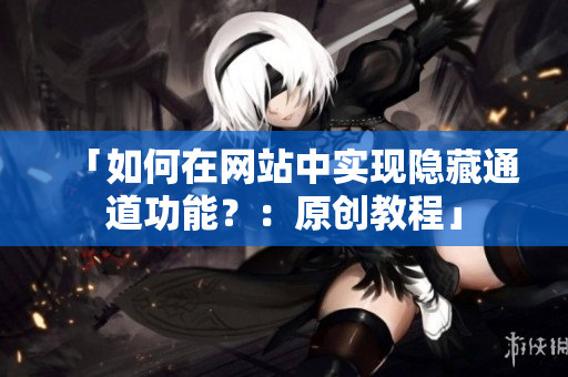 「如何在网站中实现隐藏通道功能？：原创教程」