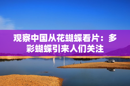 观察中国从花蝴蝶看片：多彩蝴蝶引来人们关注