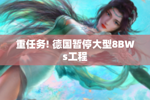 重任务! 德国暂停大型8BWs工程
