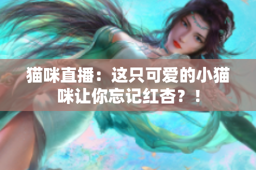 猫咪直播：这只可爱的小猫咪让你忘记红杏？！