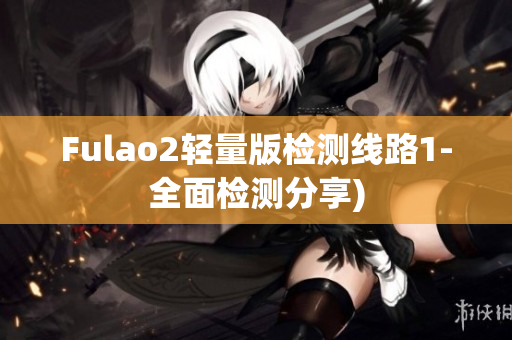 Fulao2轻量版检测线路1-全面检测分享)