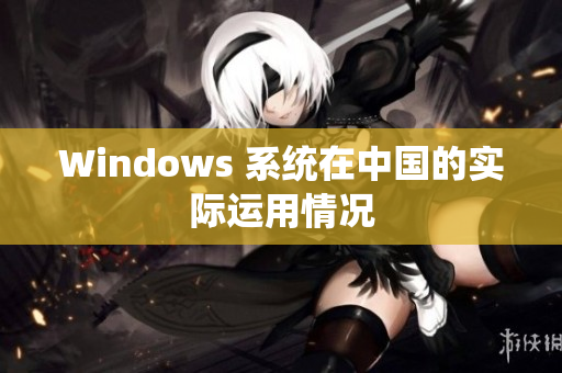 Windows 系统在中国的实际运用情况