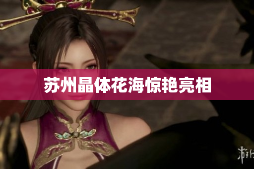 苏州晶体花海惊艳亮相