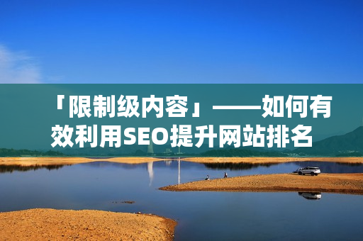 「限制级内容」——如何有效利用SEO提升网站排名