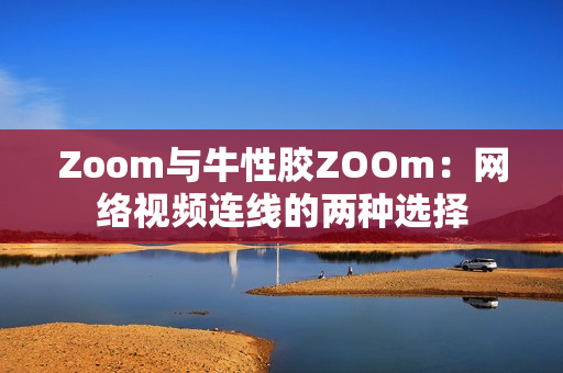 Zoom与牛性胶ZOOm：网络视频连线的两种选择