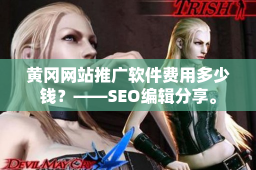 黄冈网站推广软件费用多少钱？——SEO编辑分享。