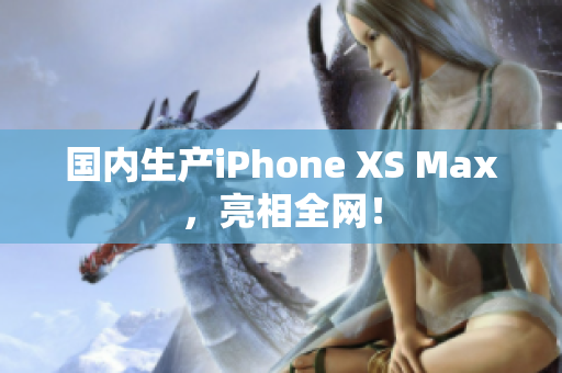 国内生产iPhone XS Max，亮相全网！